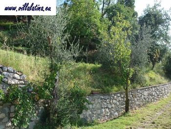 Villa Latina private garden