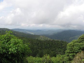 What a view!