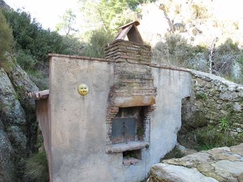 the wood oven