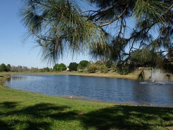 View from Patio Area