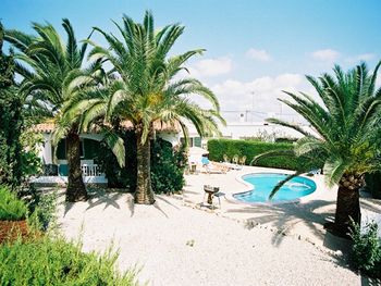 Pool and gardens