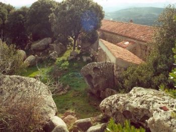 Li ferruli Sardinia holiday home