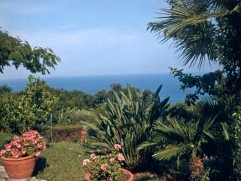 view from the mainhouse