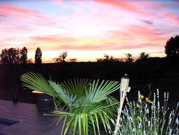 Terrace at sunset