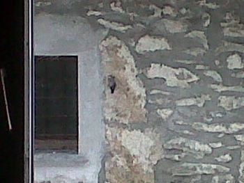 Cuneo holiday apartments