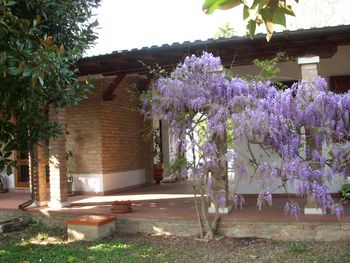 B&B Sorgente di Luce in Padova