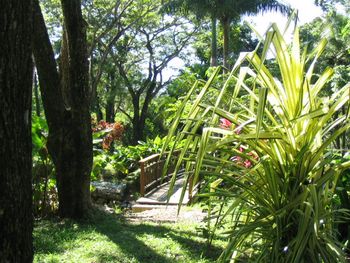 Restaurant Path