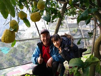 Our lemon trees