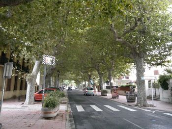 Avenue Géneral de Gaulle