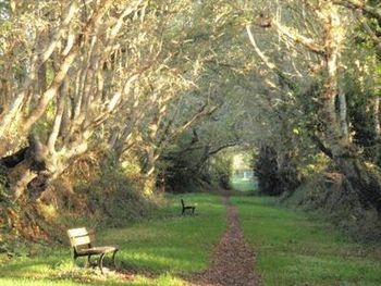 Country path near cottage