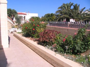  sun patio with  garden 