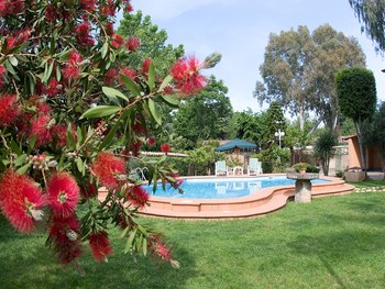 garden and pool