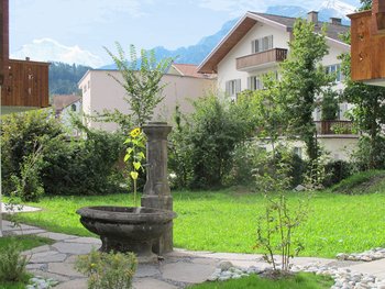 A garden view