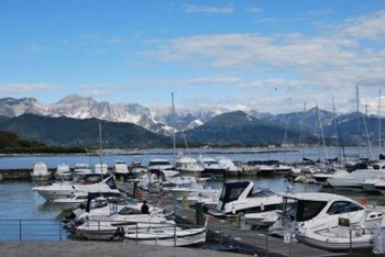 the view from our windows