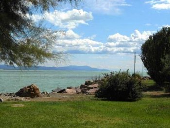 gardens along the river
