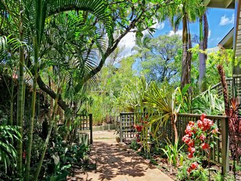 garden and view