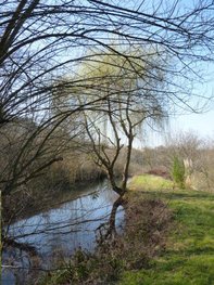 pond300m2 + its cascade