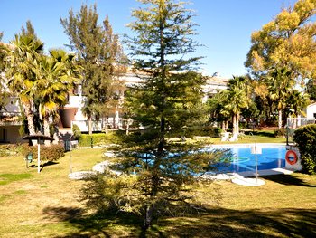 Communal Swimming Pool