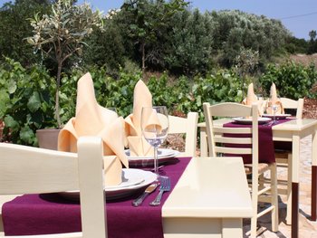 breakfast next to the vineyard