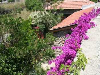The Kucuk Ev Secluded Garden