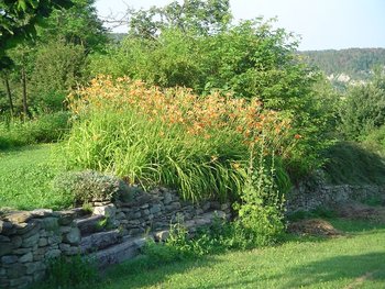 gardens Pian del Nasso