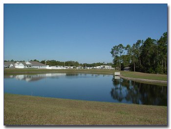 Lave View from Pool Area