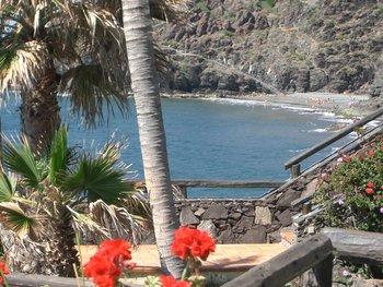 View of beach from house 