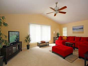 Stylish living room