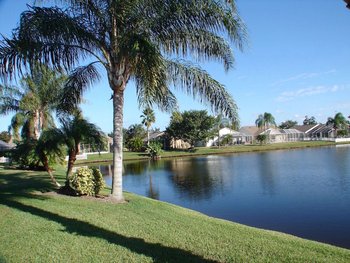 Relaxing water views